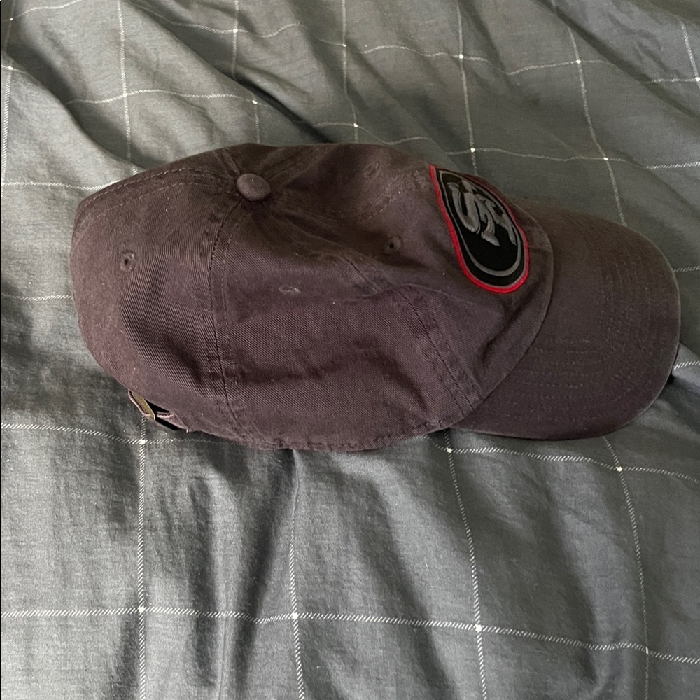 San Francisco 49ers VTG Black Adjustable NFL Hat OSFA - Picture 2 of 6